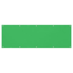 Color Paris Green Banner And Sign 12  X 4  by Kultjers