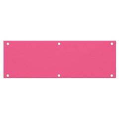 Color French Pink Banner And Sign 6  X 2  by Kultjers