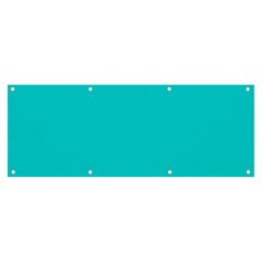 Color Dark Turquoise Banner And Sign 8  X 3  by Kultjers
