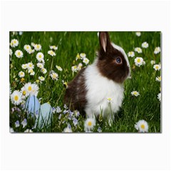 Rabbit Postcard 4 x 6  (pkg Of 10) by artworkshop