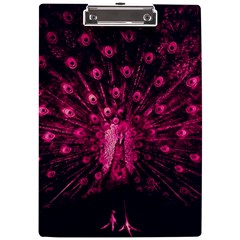 Peacock Pink Black Feather Abstract A4 Acrylic Clipboard by Wav3s