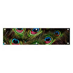 Peacock Feathers Color Plumage Banner And Sign 4  X 1  by Celenk