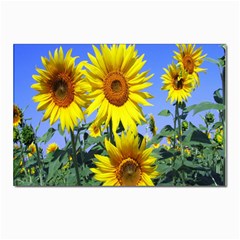 Sunflower Gift Postcard 4 x 6  (pkg Of 10) by artworkshop