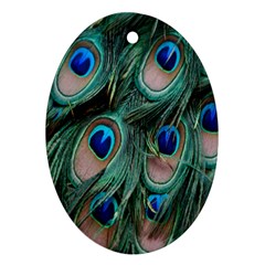 Peacock-feathers,blue2 Ornament (oval) by nateshop