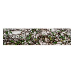 Climbing Plant At Outdoor Wall Banner And Sign 4  X 1  by dflcprintsclothing