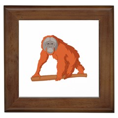 Orangutan T-shirtwhite Look Calm Orangutan 07 T-shirt (1) Framed Tile by EnriqueJohnson