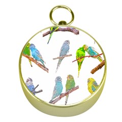 Parakeet T-shirtlots Of Colorful Parakeets - Cute Little Birds T-shirt Gold Compasses by EnriqueJohnson