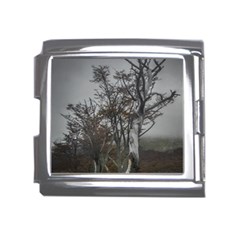 Nature s Resilience: Tierra Del Fuego Forest, Argentina Mega Link Italian Charm (18mm) by dflcprintsclothing