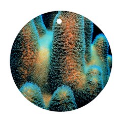 Photo Coral Great Scleractinia Round Ornament (two Sides) by Pakjumat